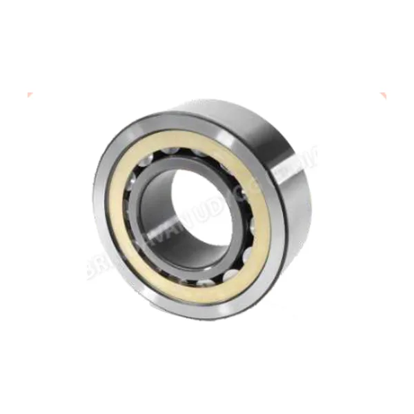 Cylindrical Roller Bearing